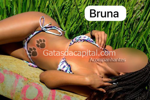 Show de Bola Acompanhante de Brasília